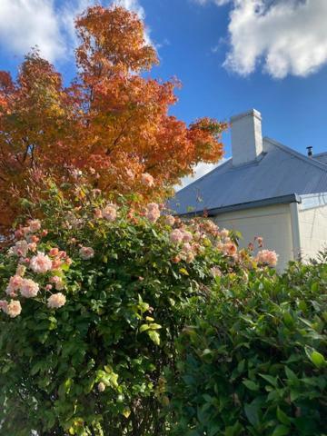 Orford'S Sanda House B&B Exterior photo